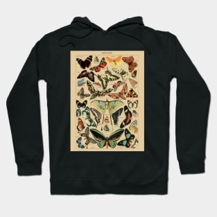 Butterflies Hoodie